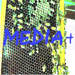 media page